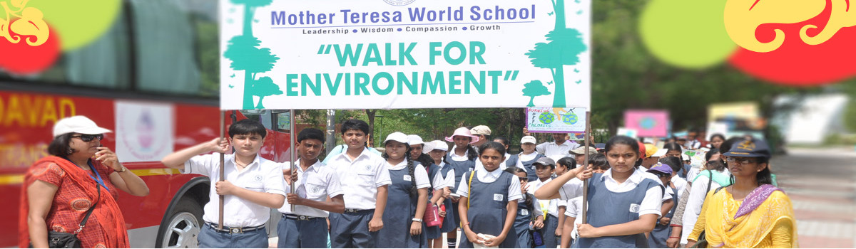 Mother Teressa World School