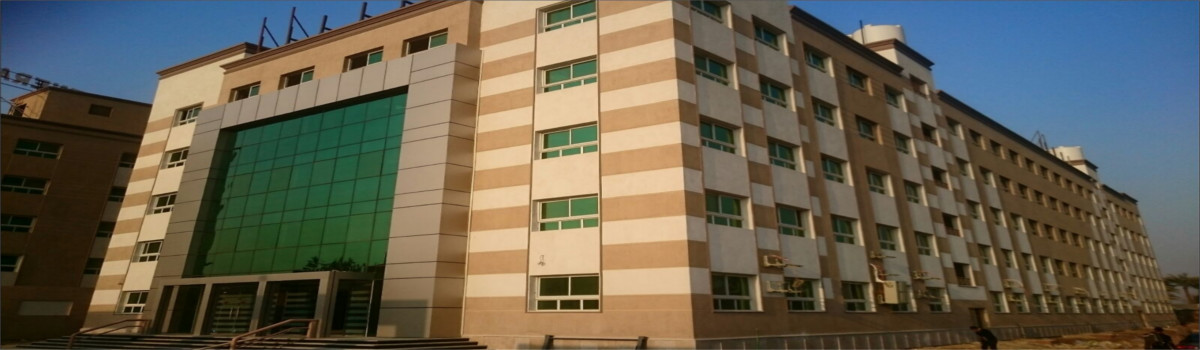 Discovery International School