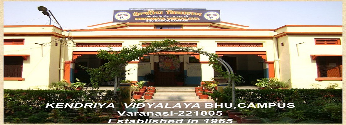 Kendriya Vidyalaya Public School