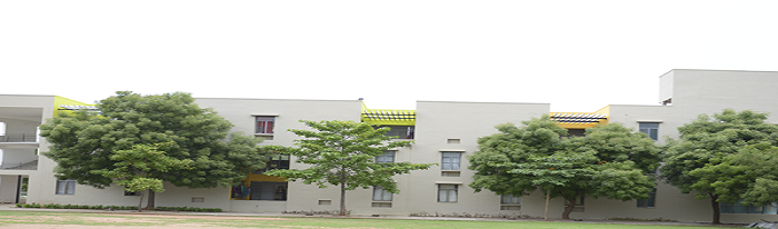 Sparkrill International School