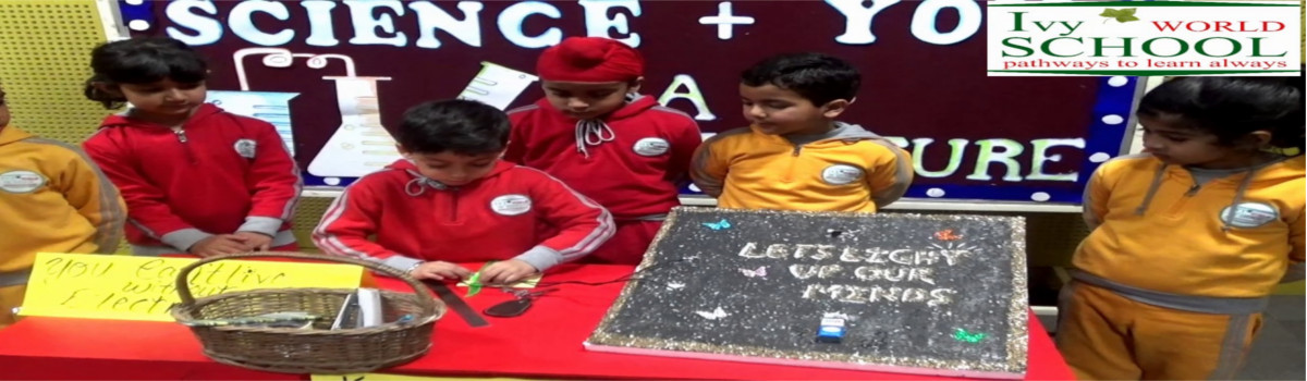 Ivy World School Day, Jalandhar