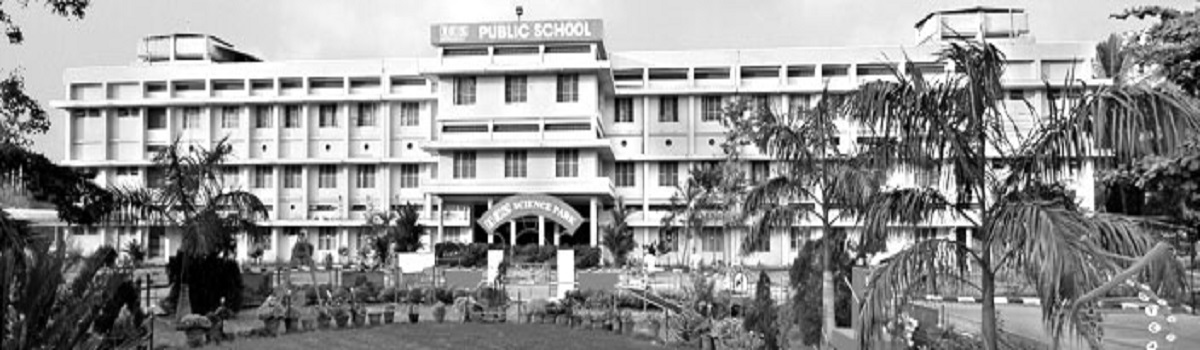 IES Public School
