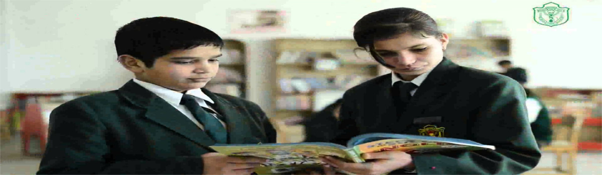 Delhi Public School 