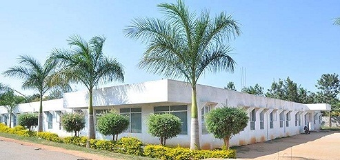 Varin International School