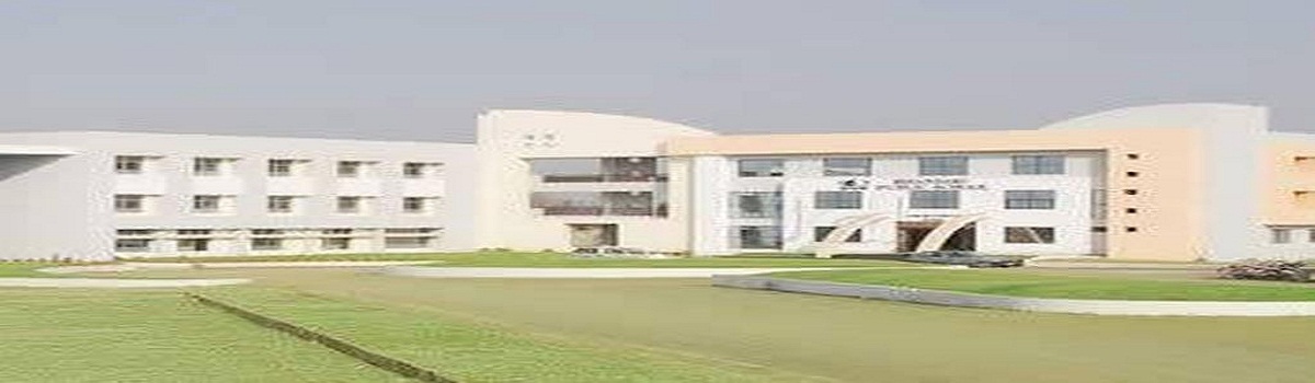 Bhandari Public School