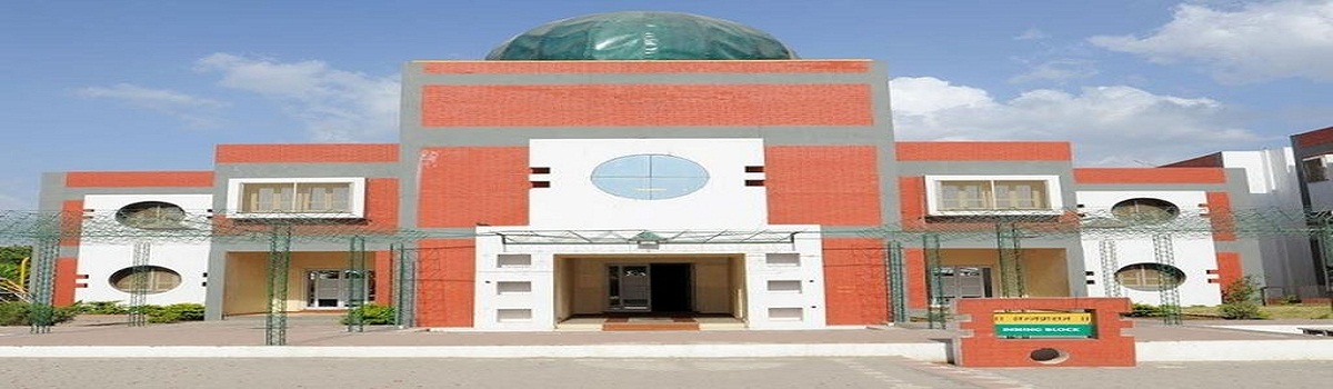 Sunflower Global School