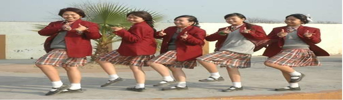 Springfield Public School