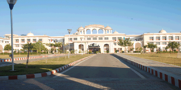 Birla International School