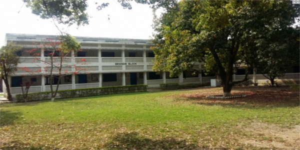 The Vivekananda School